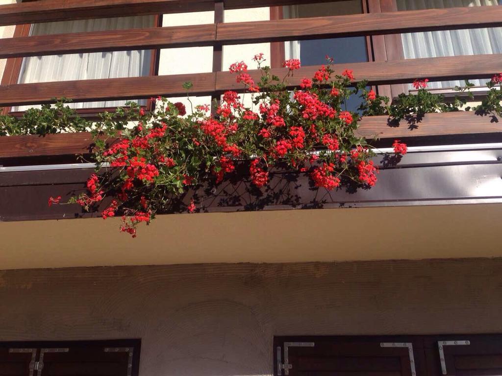 Apartments Villa Deja 자호리나 외부 사진